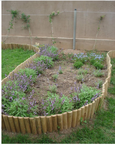 Imagen para los medios: Aula de natura. Construcció d&#39;un hotel d&#39;insectes i un jardí de papallones